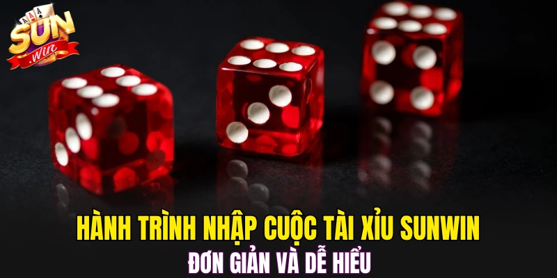 Hành trình nhập cuộc Tài Xỉu Sunwin đơn giản và dễ hiểu