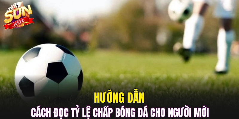 Hướng dẫn cách đọc tỷ lệ chấp bóng đá cho người mới 